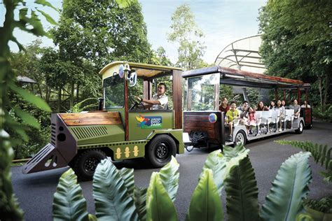 singapore zoo tram ticket